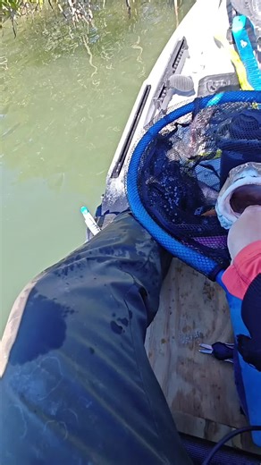 Spotless Redfish: Rarity and Kayak Fishing Tips