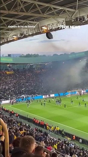 WATCH: Professional soccer match is called off after angry fans storm the field