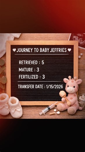 We just got our egg retrieval results and we are in AWE 😭✨ 100% of our mature eggs fertilized… only God could write this story!! ‘Now to Him who is able to do immeasurably more than all we ask or imagine’ — Ephesians 3:20 🤍👶 #IVFjourney #MiracleInTheMaking #makingbabyjeffries #infertility #dor @⚡️Storm.Proof.Texan⚡️