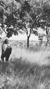 Maizviziva here kuti Jiliybaby ndakarwira rusununguko in First Chimurenga💯 | Amai Jilimba Production