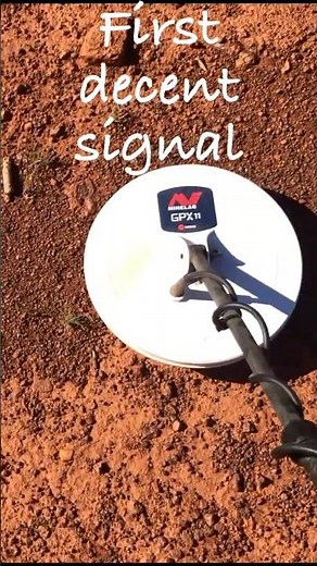 Smallest Gold Nugget found using a Metal Detector