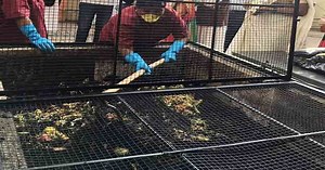 Utilizing Solid Waste To Make The Most Out Of It