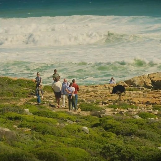 Cape Point Tour | Cape Peninsula Private Guided Experience Cape Town