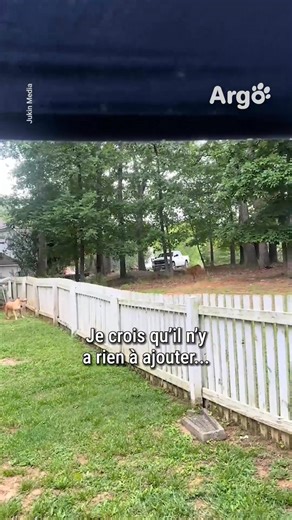 La facilité avec laquelle il saute la clôture 😂 | Argo France