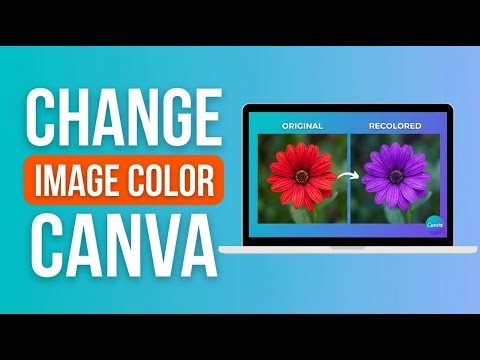 How to Change Image Color in Canva (Step-by-Step Tutorial)