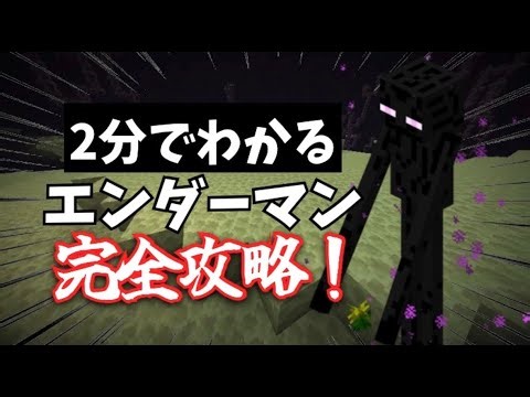 【マイクラ攻略】もう困らない！スケルトンに完璧に対処する方法