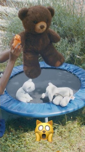 🧸 Bears on a TRAMPOLINE😱!? 3-2-1 Jump Together! #shorts