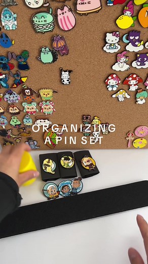 Organizing a Complete Pin Set | Pin Collection Organization