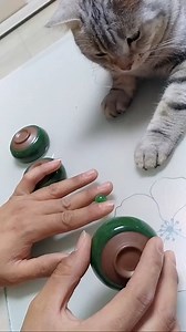 1.6M views · 10K reactions | Think your cat’s not a genius? Think again! 易 #CatGenius #SmartKitty #PuzzleMaster | Amazing Videos | Facebook