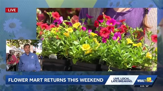 Flower Mart returns to Mount Vernon this weekend