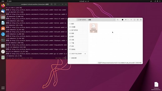 VMware Workstation 17 Pro for Linux安装