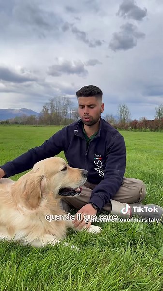 Come migliorare il rapporto con il tuo cane