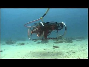 Exodus of Moses at Red Sea - The Real Mount Sinai :: Part 5 of 6