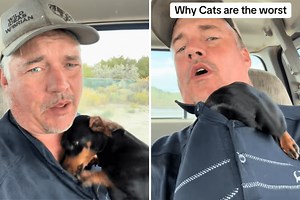 Dog Owner Has Theory on Why Cats Are ‘The Worst’ Pets—but There’s a Twist