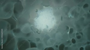 Biomedical Research: Microscopic View of Cellular Structures