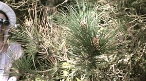 7.3K views · 110 reactions | What would a Tinder Date in the 19th century look like? Tag a Tinder addict. #tinder #dating #datingdisasters #period #history #costume #micf #abcdrama #comedians #incest ABC TV + iview Emma-Louise Wilson Oliver Clark #badbarbie | Nikki Osborne | Facebook