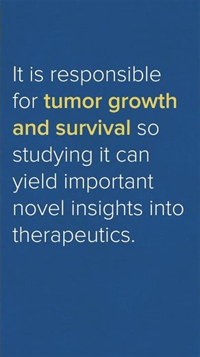 Tumor Micro Environment - A Basic Explanation