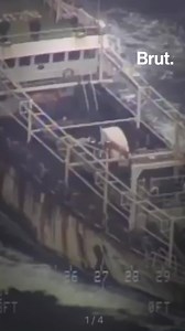 1.1M views · 4.9K reactions | Au large des îles Galápagos, cette flotte chinoise de 340 navires de pêche épuise les ressources de l'archipel depuis des années. Les habitants dénoncent une véritable catastrophe pour la biodiversité. | Brut nature FR | Facebook