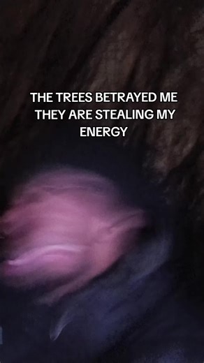 ? (@goatdownfall)’s videos with lost woods (slowed reverb) - skywave