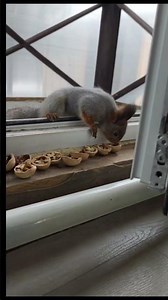 5 декабря 2025 г.