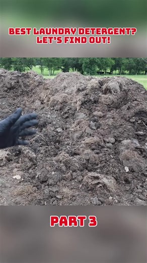 Best Laundry Detergent Comparison: Which One Works Best?