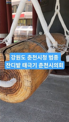 강원도 춘천시청 범종 잔디밭 태극기 춘천시의회