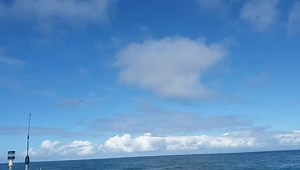 Gower Coast Adventures on Reels