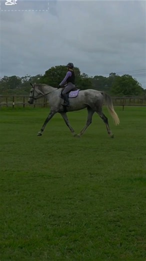 dressage lesson from a professional coach on python! thanks for letting me ride him jez!#horse#fyp