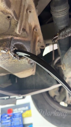 UNBELIEVABLE: A Wooden Plug To Stop An Oil Leak?! 🤯🪵