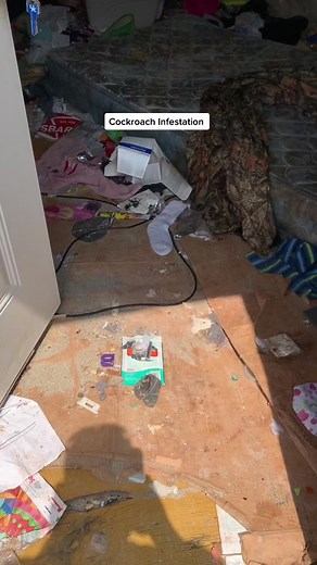 Dealing with a Cockroach Infestation