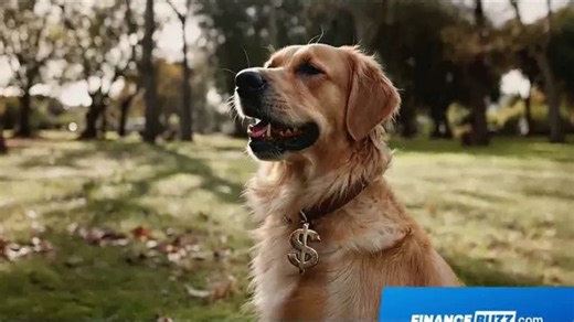 FinanceBuzz TV Spot, 'Dollar Signs'