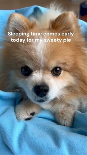 Headline: Someone had a big day! 😴 Early bedtime for my sweety pie.