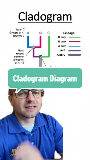 Cladograms #cladogram #science #evolution #science #biology #apbiology