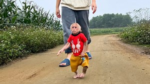 6.8K views · 684 reactions | Monkey Bibi's afternoon routine exercise and bath with mom at countryside | Monkey Show Daily | Facebook