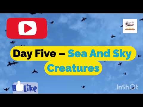 Genesis 1- Summary. (Creation)