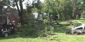Trees in Lexington fall from microburst that caused straight line winds