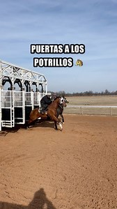 341K views · 10K reactions | Los caballitos cada día que pasa van comprendido, que el juego se trata de correr más rápido que el otro  | EstebanFoo | Facebook