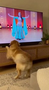 She wants to be a belly dancer :) | Reel Rush