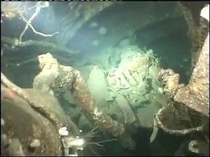 Lost U-boats Discovered Off Scarborough UB-75 & UB-41