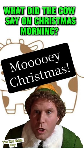 Wild Wednesday Joke! #funny #humor