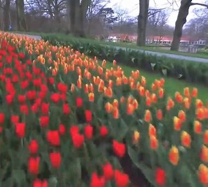 16K views · 937 reactions | Netherlands, literally meaning “Lower...