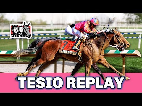 2023 Federico Tesio Stakes Replay | PERFORM Wins Preakness Stakes Qualifier With Last-Second Move
