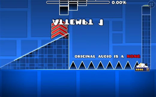 EdmondX in the Wild: Hilarious Moments and Mishaps