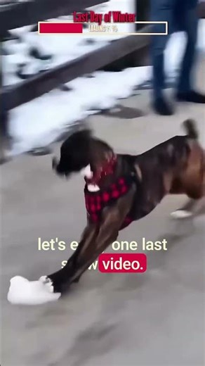 Last Snow Day of The Year! | Algorithm Cleanse