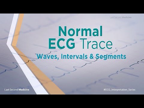 Introduction to Normal ECG Tracing | Waves, Intervals & Segments in ECG