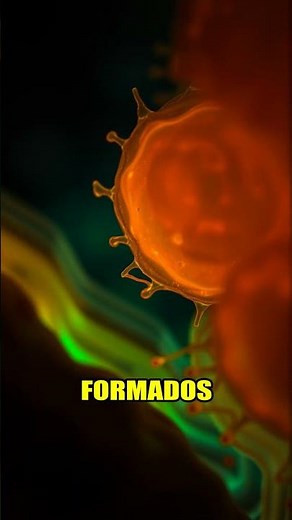 Células: La Base de Vida 🔬