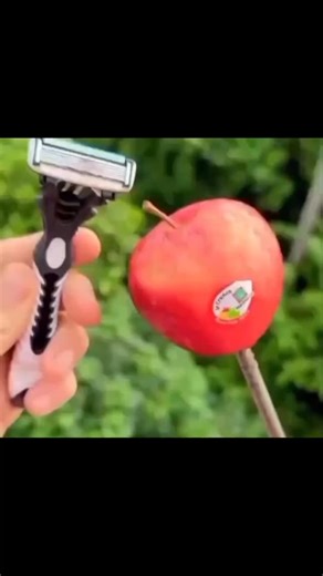 flash bang on Instagram: "#memes #meme #funny #fyp #relaxing"