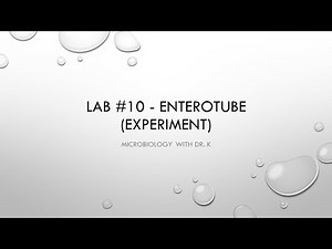 Lab #10 - Enterotube - experiment