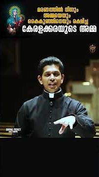 മരണത്തിൽ നിന്നും അമ്മയെയും കൈകുഞ്ഞിനെയും രക്ഷിച്ച കേരളക്കരയുടെ അമ്മ | Vallarpadam Basilica