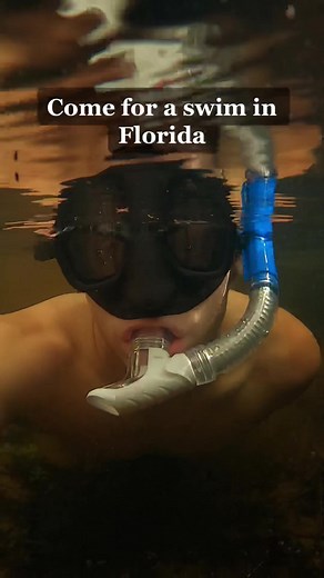 Occasionally when looking for turtles and other freshwater inhabitants | come upon alligators, I always do my best to respect their space and never get too close. Never attempt to interact with dangerous wildlife, especially alligators. Situations like this should be avoided at all costs. #alligator #fyp #reptile #tiktok #nature #wildlife #duet #viral #adventure #yolo #turtle #python #snake #dangerous #donotattempt #trainedprofessional